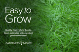 Master the Art of Growing Dukat Dill with Premium Seeds