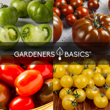 Stock Up on Tomatoes for the Year: 16 Heirloom Varieties in One Pack
