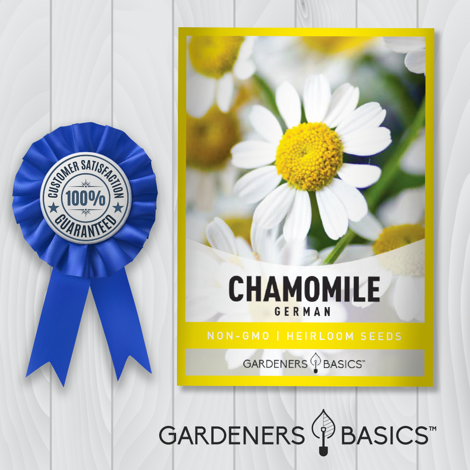 chamomile flower seeds for sale German Chamomile Seeds For Planting: Grow Your Own Herbal Oasis – Gardeners Basics