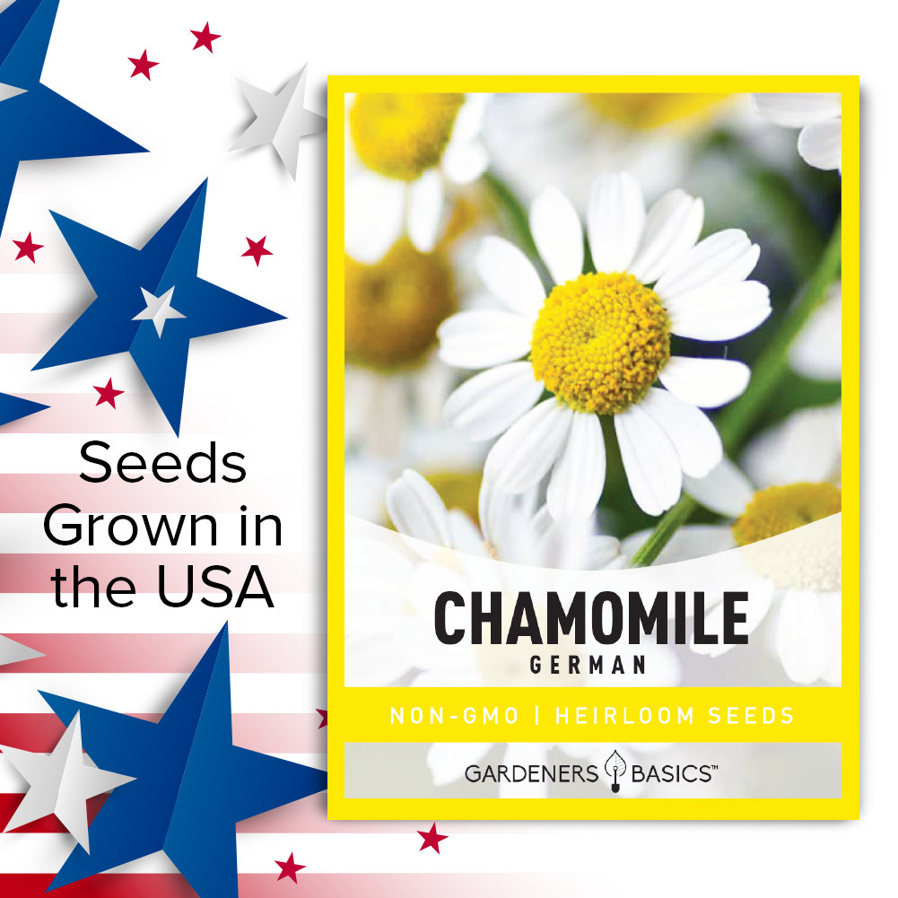 German Chamomile Seeds: Cultivate a Relaxing Herbal Experience