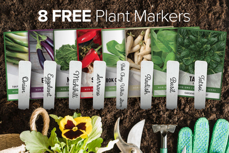 Enjoy Fresh and Flavorful Asian Vegetables with This Non-GMO 8-Pack Seed Collection
