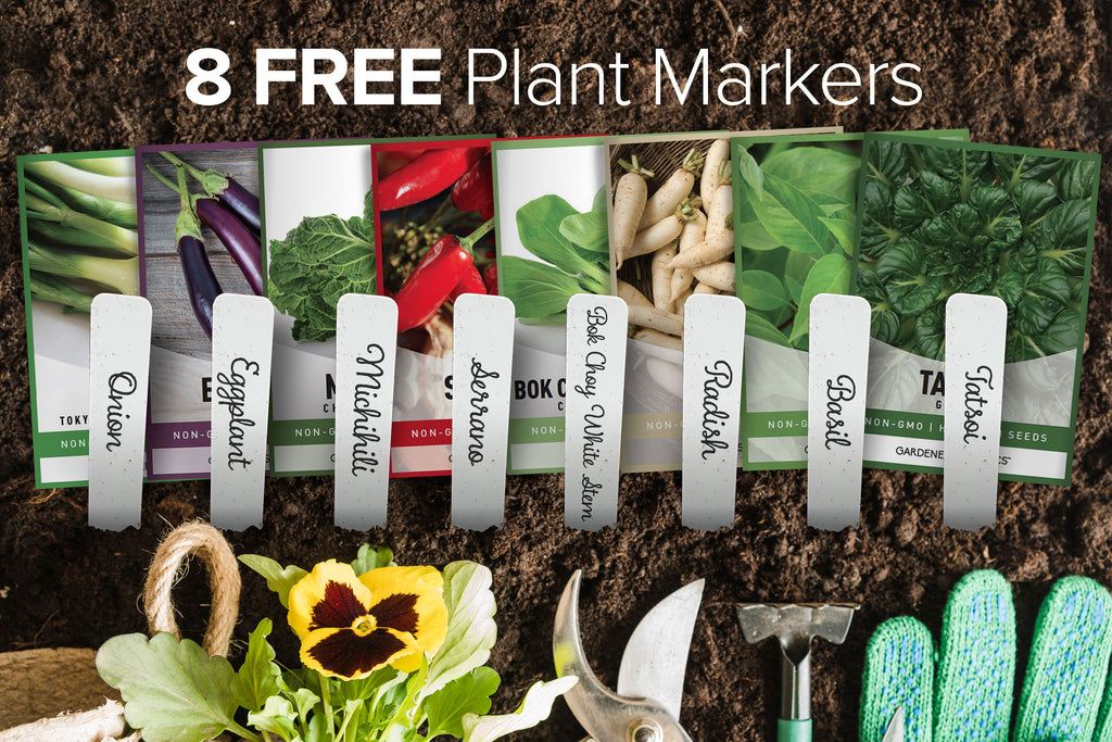 Enjoy Fresh and Flavorful Asian Vegetables with This Non-GMO 8-Pack Seed Collection