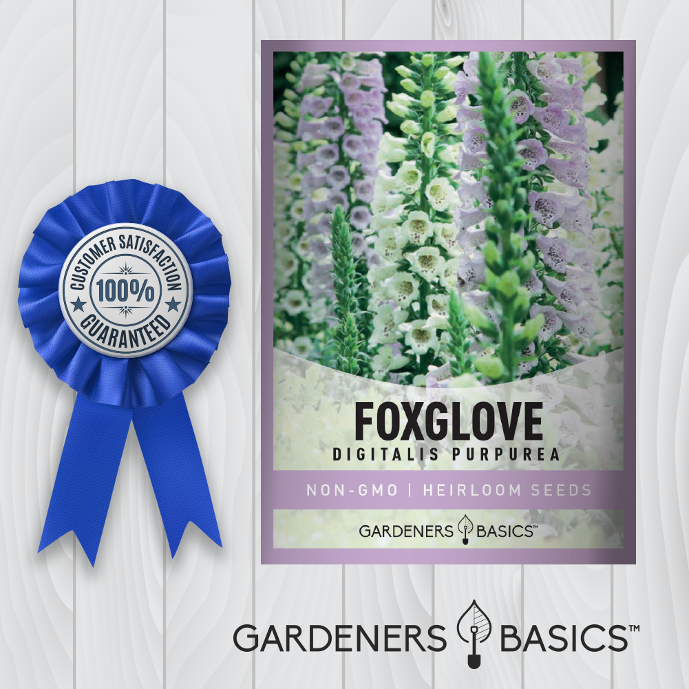 Create a Wildlife Haven with Foxglove Seeds
