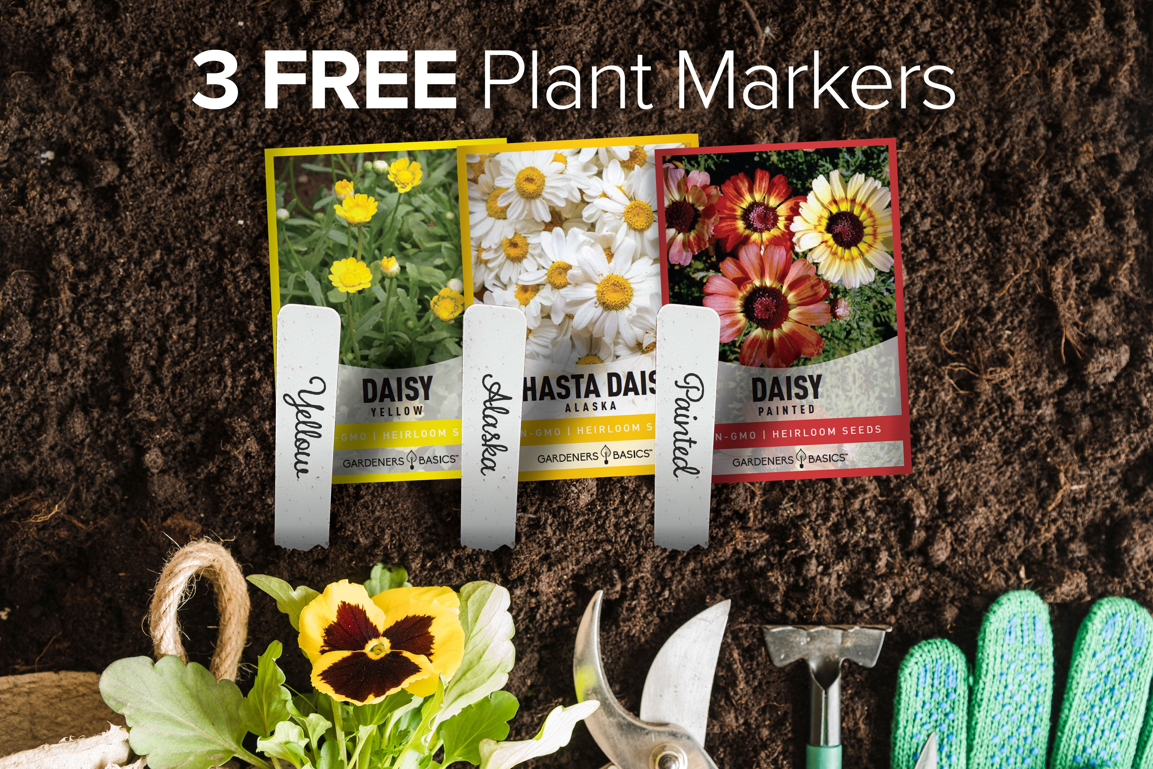 free perennial flower seeds Daisy Seeds for Planting