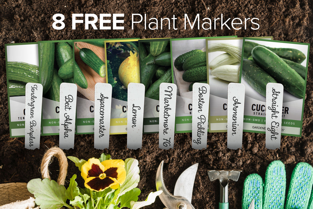 Plant a Cucumber Buffet with Our 8 Variety Pack of Seeds