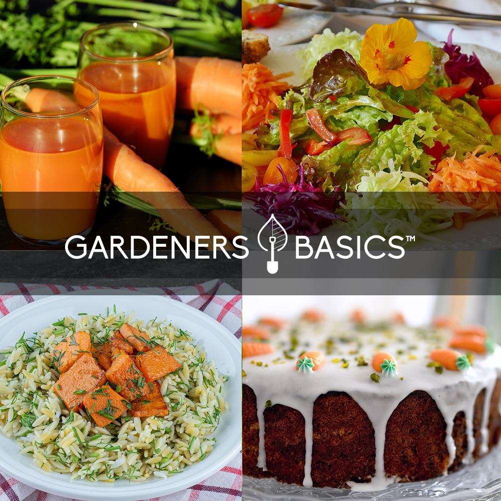 Grow a Flavorful and Vibrant Carrot Garden with Gardeners Basics' Seed Variety Pack