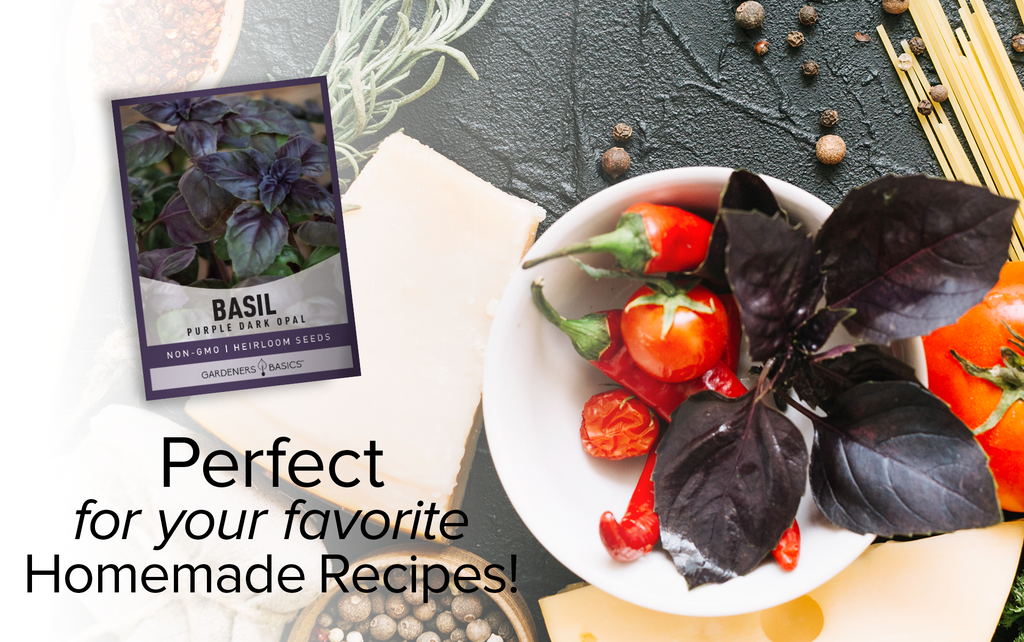 Grow Your Own Dark Opal Basil and Elevate Your Culinary Game