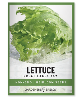 Great Lakes 659, lettuce seeds, head lettuce, seeds for planting, organic seeds, non-GMO seeds, vegetable garden, greenhouse, gardening, fresh lettuce, crisp lettuce, heat-tolerant, nutrient-rich, high germination rate, easy-to-grow, gardening success, salads, wraps, sandwiches, tipburn resistant