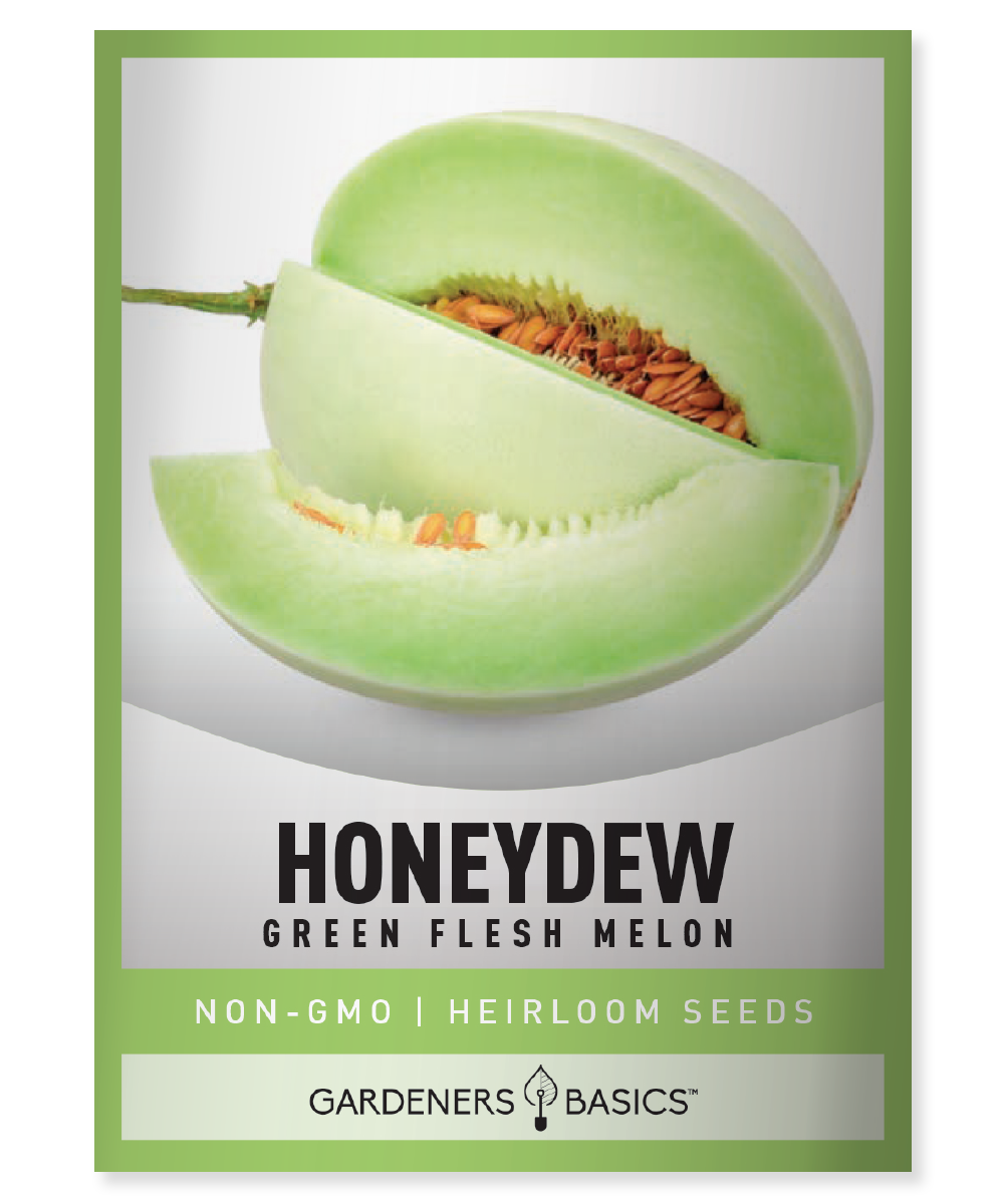 Honeydew Green Flesh
