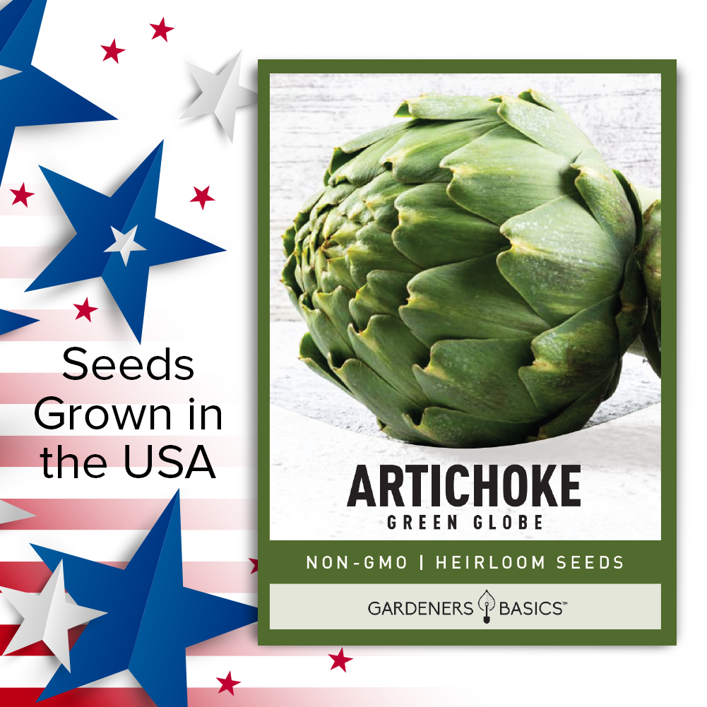 Green Globe Artichoke Seeds: The Secret to a Successful Artichoke Garden