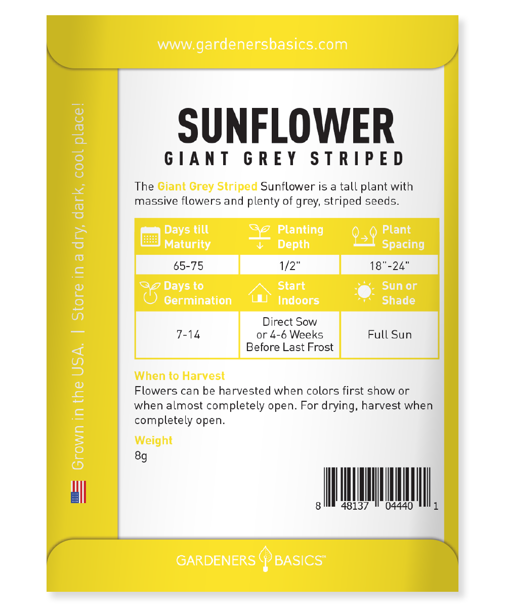depth to plant sunflower seeds Grey Stripe Sunflower Seeds for Planting