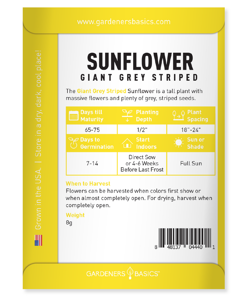 Helianthus Annuus Grey Stripe Seeds: The Ultimate Sunflower Experience