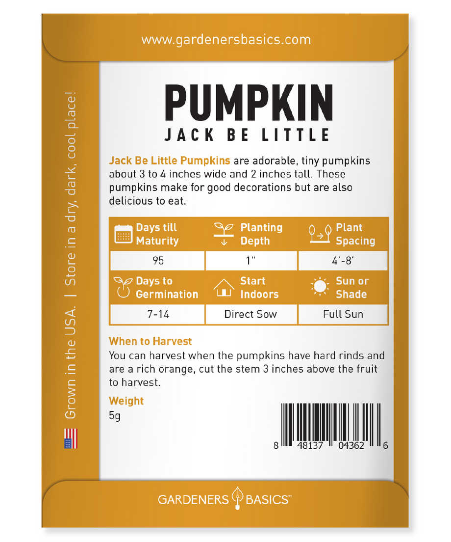 pumpkin seeds planting instructions Jack Be Little Pumpkin Seeds For Planting A Must Have for Fall Lovers –  Gardeners Basics