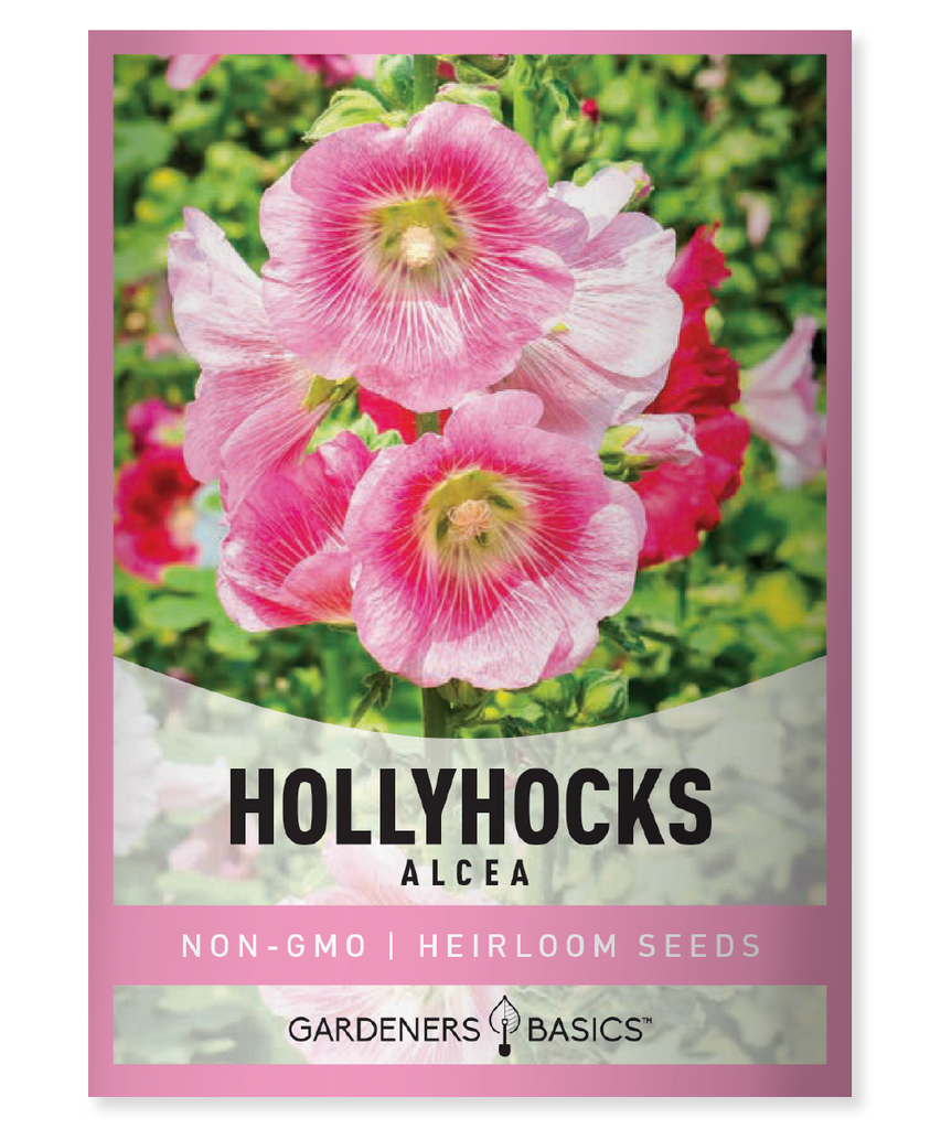 Alcea Hollyhocks Flower Seeds Planting Perennial Flowers Drought-Tolerant Pollinator-Friendly Garden Display Easy to Grow Vibrant Colors Cottage Gardens Borders Landscaping Germination High-Quality Seeds Eco-Friendly