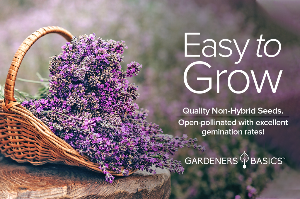 Attract Pollinators & Boost Your Garden's Ecosystem with Lavender Seeds