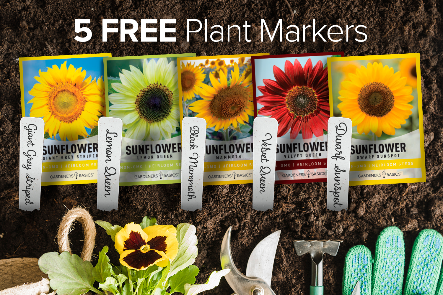 sunflower seeds for planting for sale Sunflower Seeds for Planting Flowers (5 Pack Mix)
