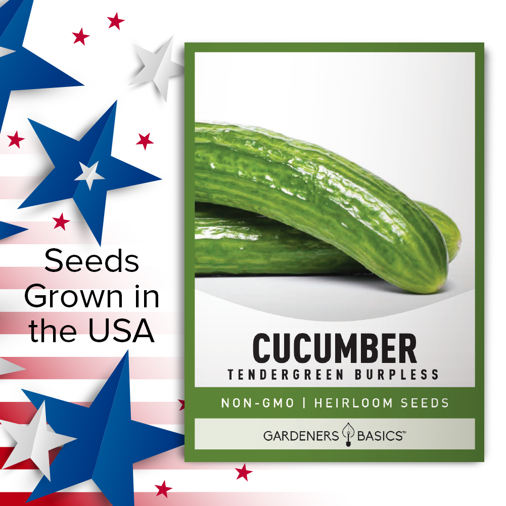 Quality Tendergreen Burpless Cucumber Seeds for a Flavorful Harvest