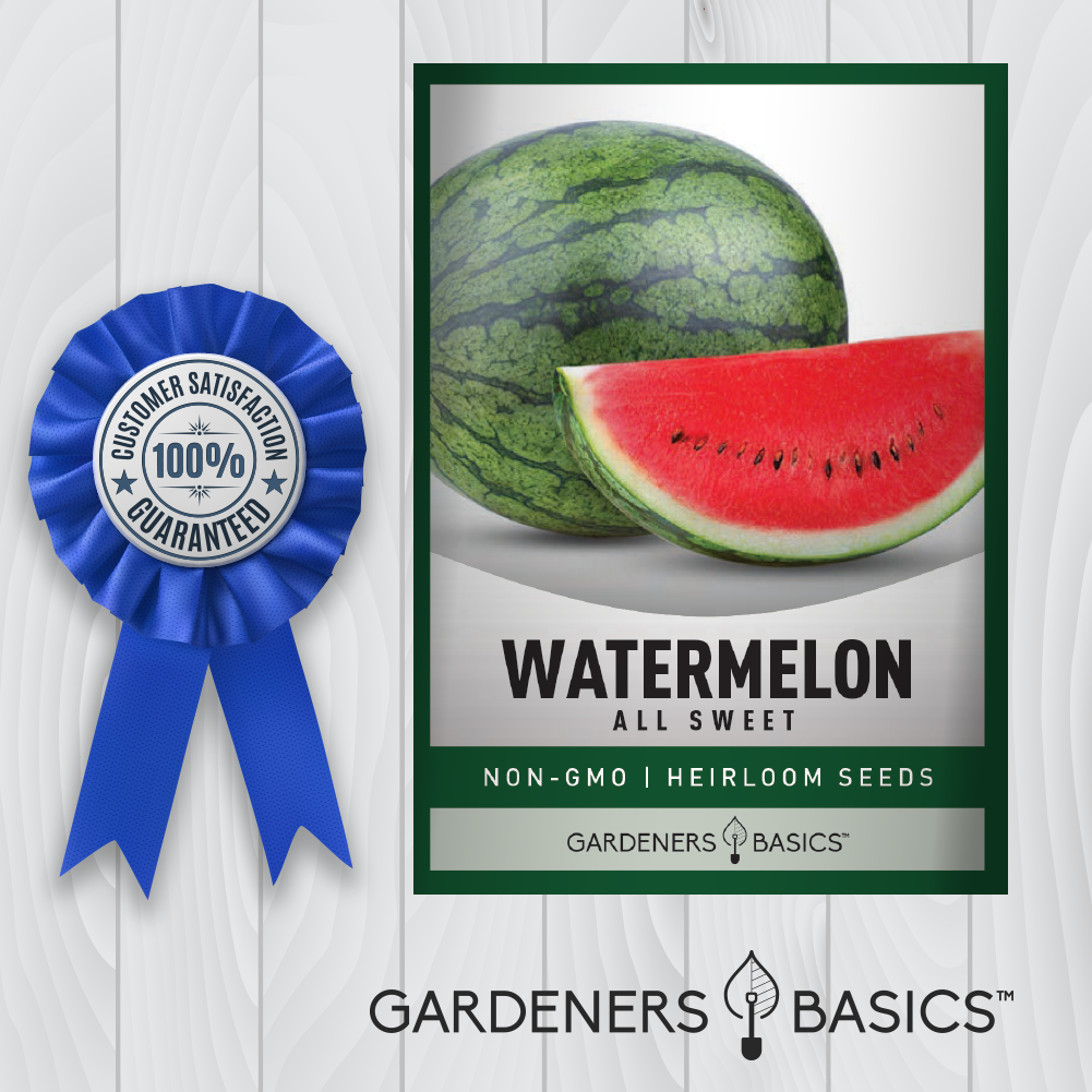 Best Practices for Growing All Sweet Watermelon from Seed