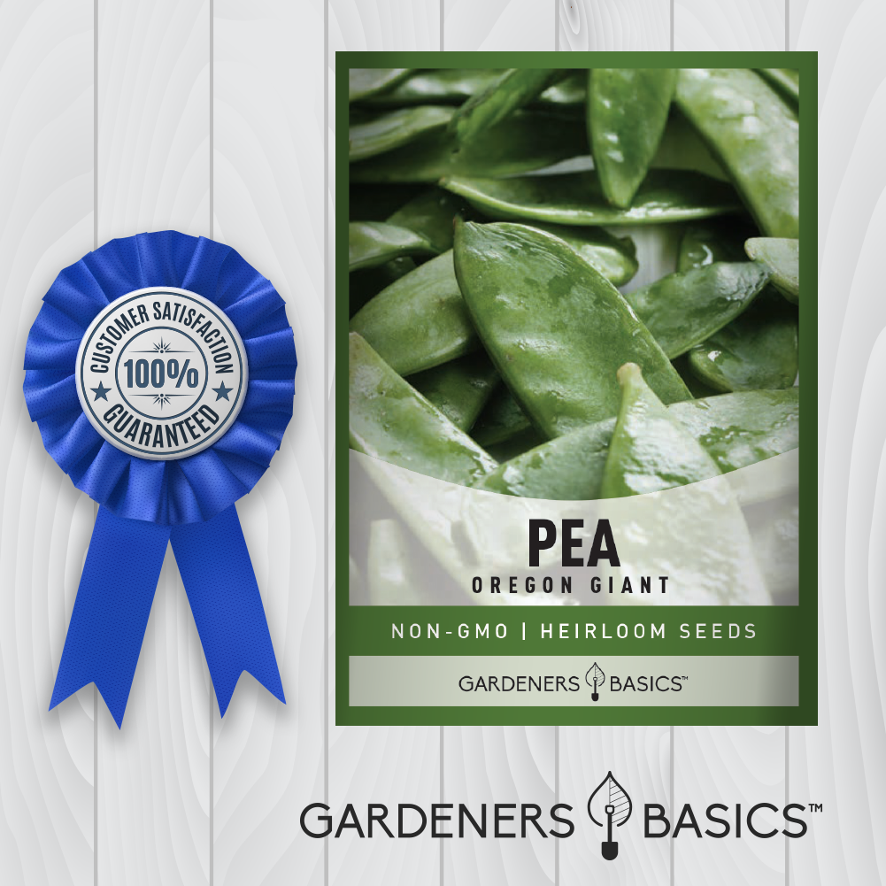 Grow a Feast of Fresh Peas with Oregon Giant Pea Seeds