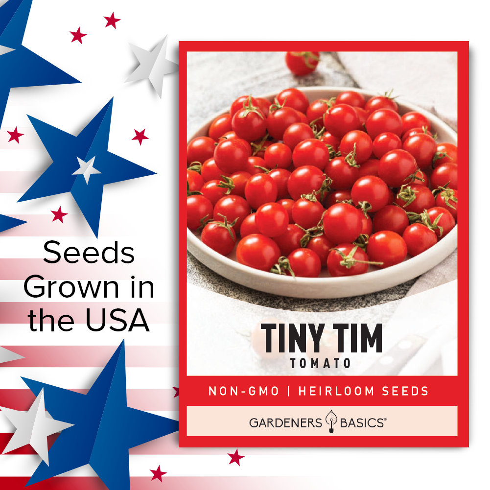Grow Your Own Nutritious Tiny Tim Tomatoes – Perfect for Urban Gardens