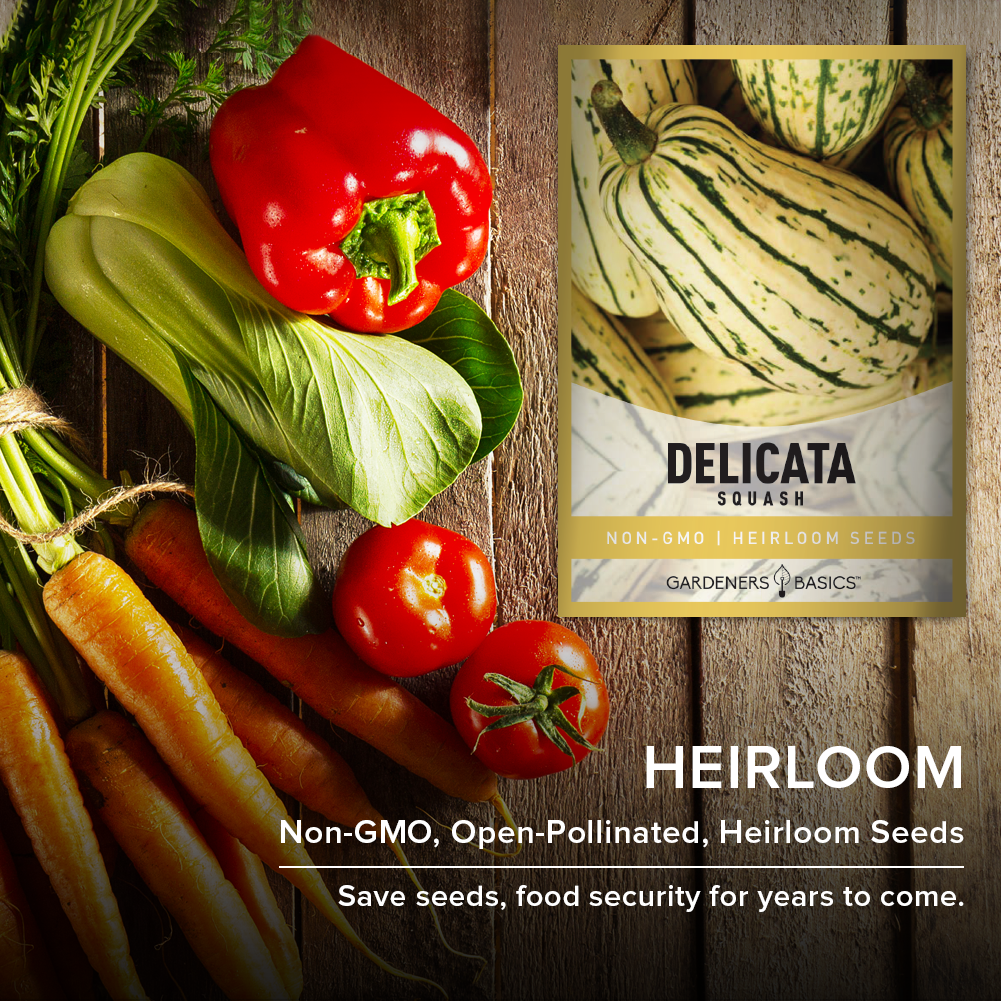 Delicata Squash Seeds: The Ultimate Choice for Garden Enthusiasts