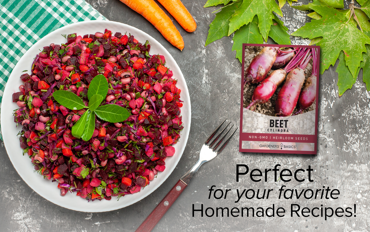 Easy-to-Grow Cylindra Beet Seeds for Planting: Get Started Today