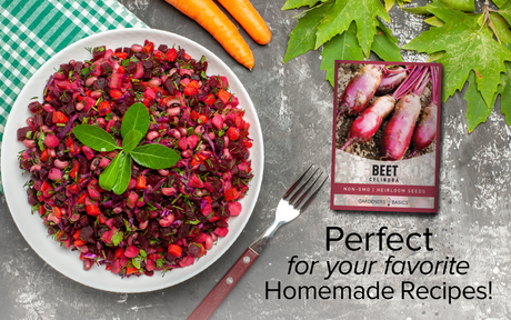 Easy-to-Grow Cylindra Beet Seeds for Planting: Get Started Today