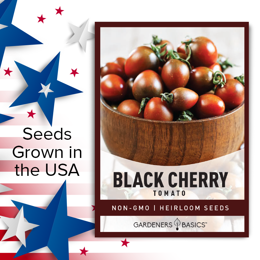Easy-to-Grow Black Cherry Tomato Seeds for Novice & Experienced Gardeners