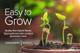 Top Tips for Growing the Perfect Fordhook Lima Beans