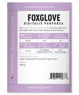Foxglove Seeds: A Low-Maintenance Plant That Self-Sows