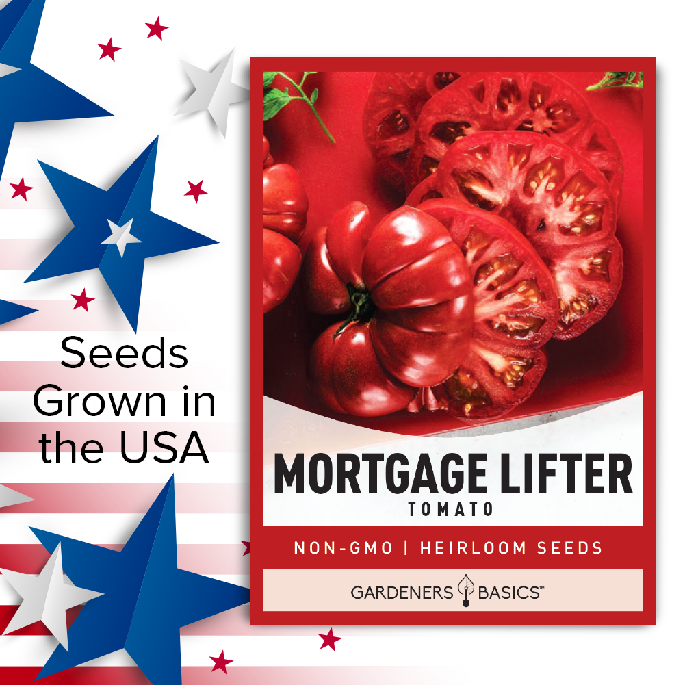 Experience Gardening Success with Mortgage Lifter Tomato Seeds
