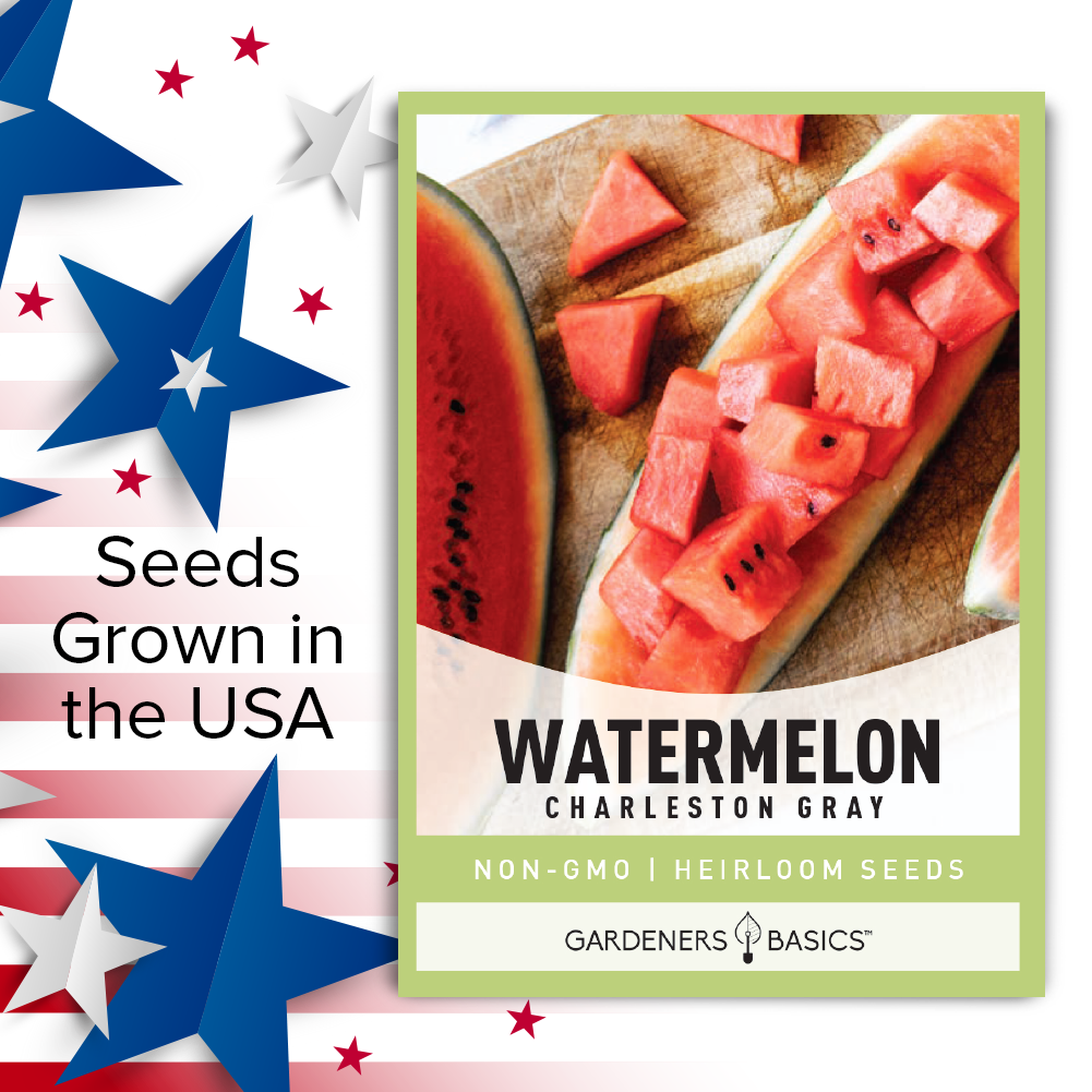 Non-GMO Charleston Gray Watermelon Seeds for a Healthy Garden