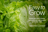 High Germination Rate: Great Lakes 659 Head Lettuce Seeds