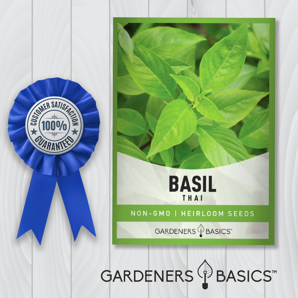 Experience Authentic Thai Flavor: Cultivate Your Own Basil with Premium Seeds
