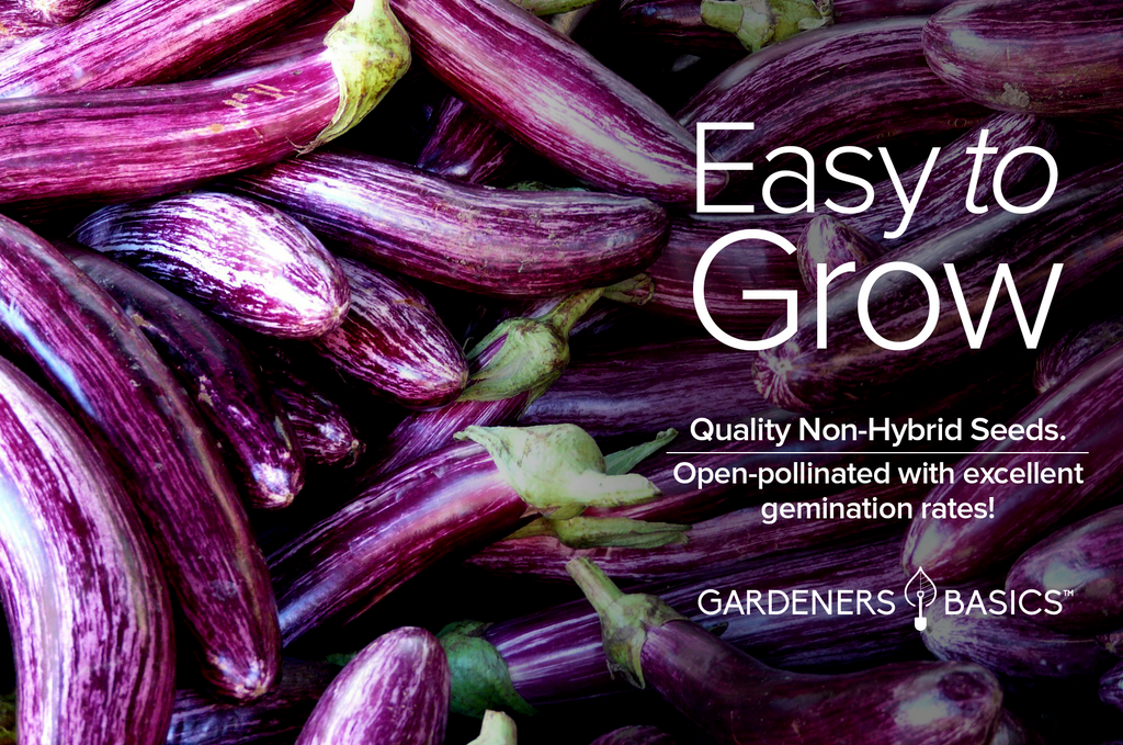 Long Purple Eggplant Seeds: The Perfect Addition to Any Veggie Garden