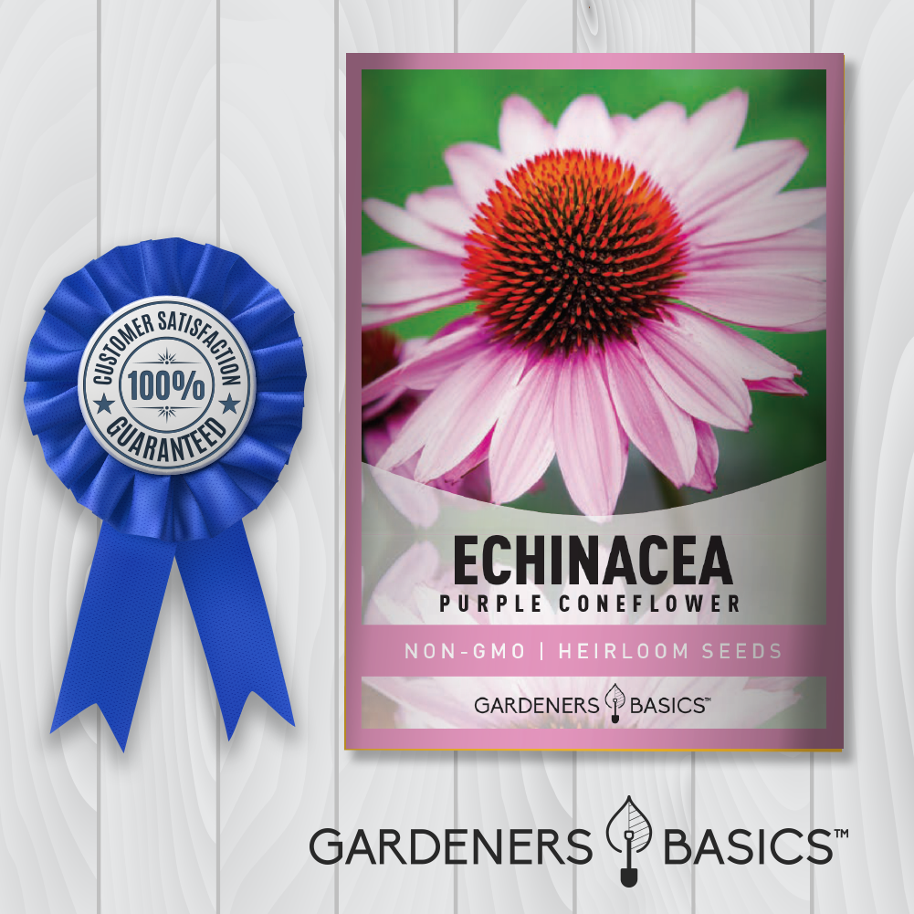 Echinacea Seeds - Purple Coneflower for a Lush, Wildlife-Supporting Garden