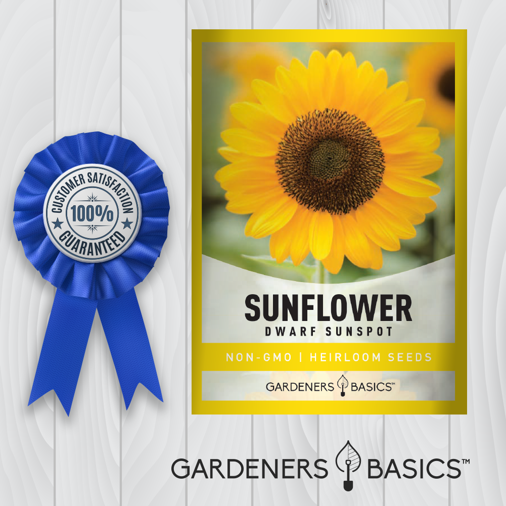 Sunspot Sunflower Seeds: Grow Your Own Pollinator Paradise