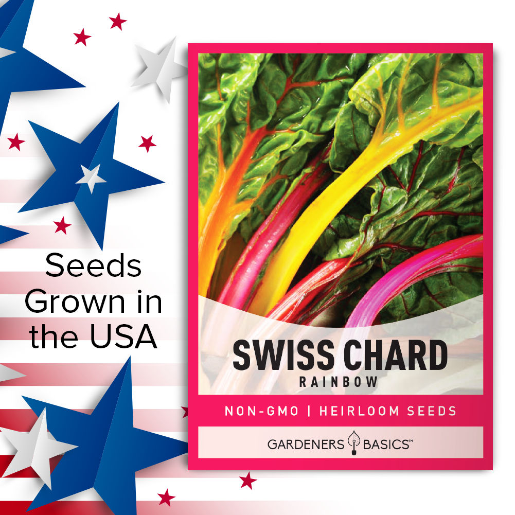 Non-GMO Rainbow Swiss Chard Seeds: The Healthy Choice for Your Garden