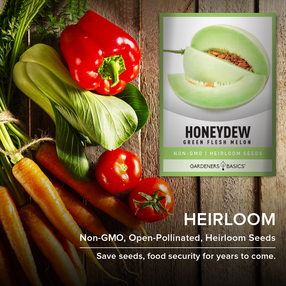 Green Flesh Honeydew Melon Seeds: An Ideal Choice for Health-Conscious Gardeners