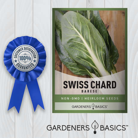 Barese Swiss Chard Seeds: Your Path to a Healthier Lifestyle