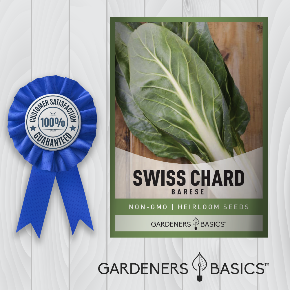 Barese Swiss Chard Seeds: Your Path to a Healthier Lifestyle