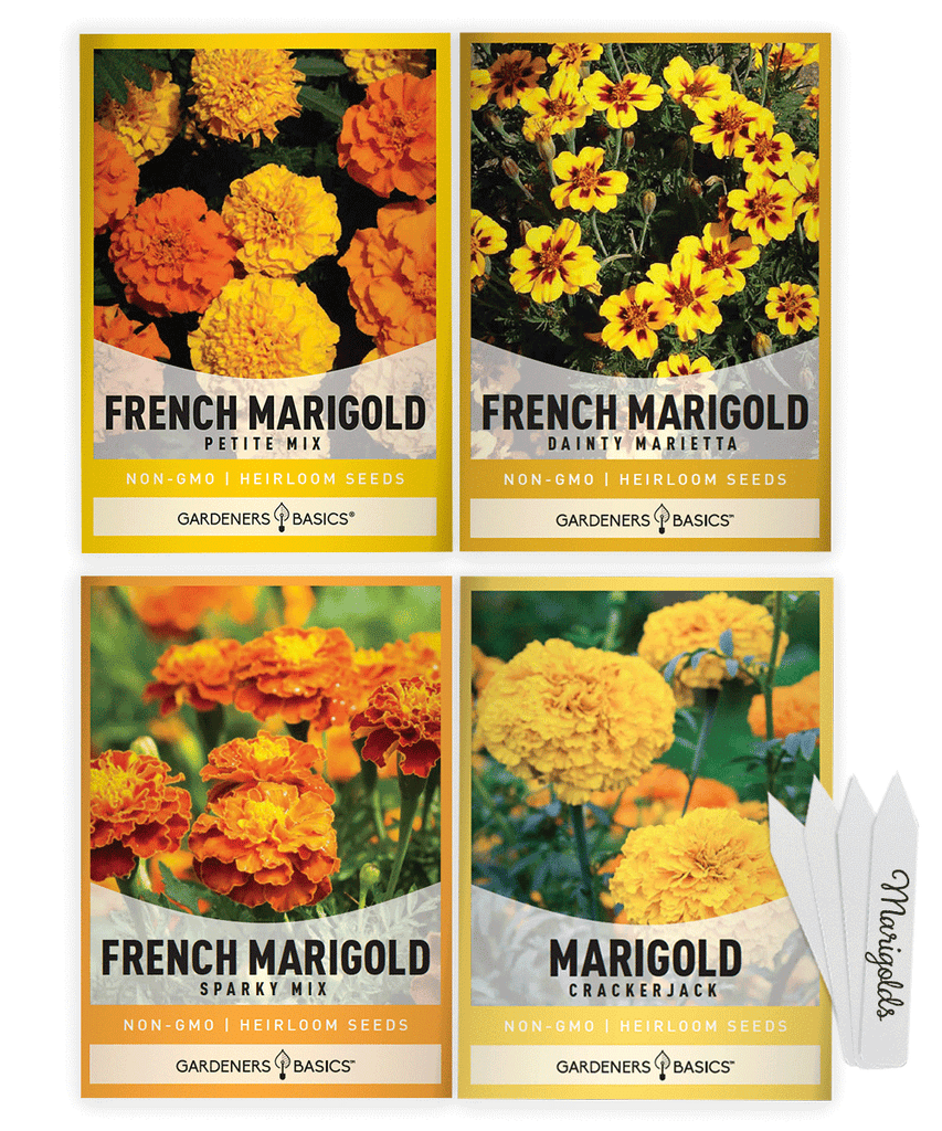 Marigold seeds Flower seeds Variety pack French Marigold Petite Mix African Marigold Crackerjack French Marigold Dainty Marietta French Marigold Sparky Mix Pollinators Bees Butterflies Pest deterrent Heirloom seeds Non-GMO Easy to grow Home gardening