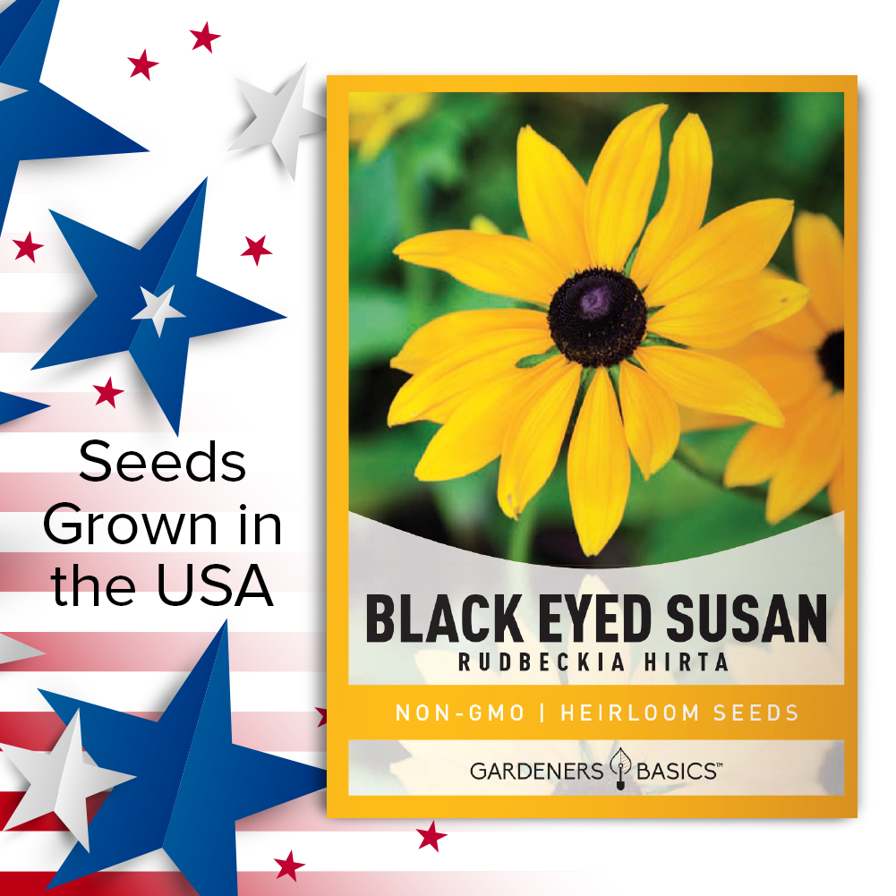 Black Eyed Susan Flower Seeds For Sale Online