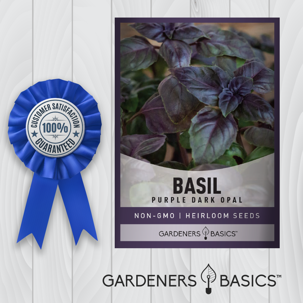 The Secret to Perfect Basil: Start with Dark Opal Basil Seeds