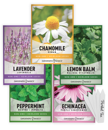 Perennial Flower Seeds for Planting: A Diverse Collection of Long-Lasting Blooms