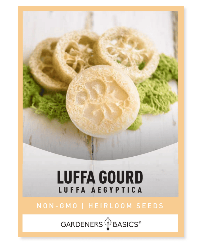 Luffa seeds Planting luffa Growing luffa Organic luffa seeds Heirloom luffa seeds Luffa gourd seeds Luffa cylindrica seeds Edible luffa seeds Sustainable gardening Seed collection Home gardening Garden seeds Seed varieties Gardening supplies Seed packets