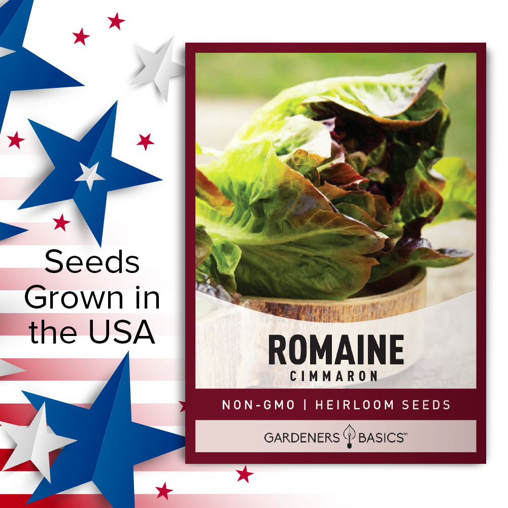 Top Quality Cimmaron Romaine Lettuce Seeds for Your Home Garden