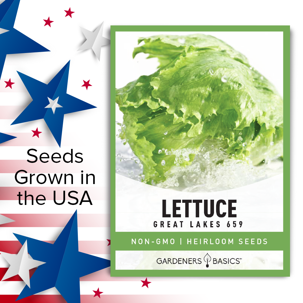 Great Lakes 659 Seeds: The Perfect Addition to Your Vegetable Garden