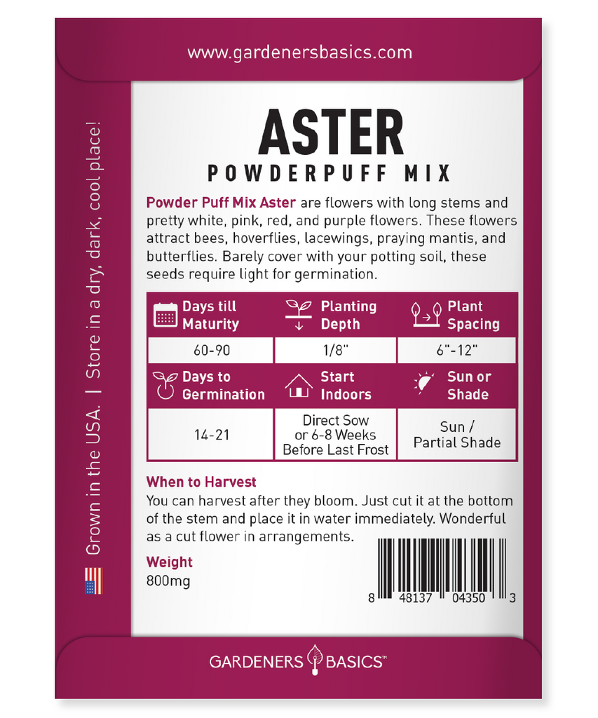 Powder Puff China Aster Seeds - Perfect for Cutting & Arranging Stunning Bouquets