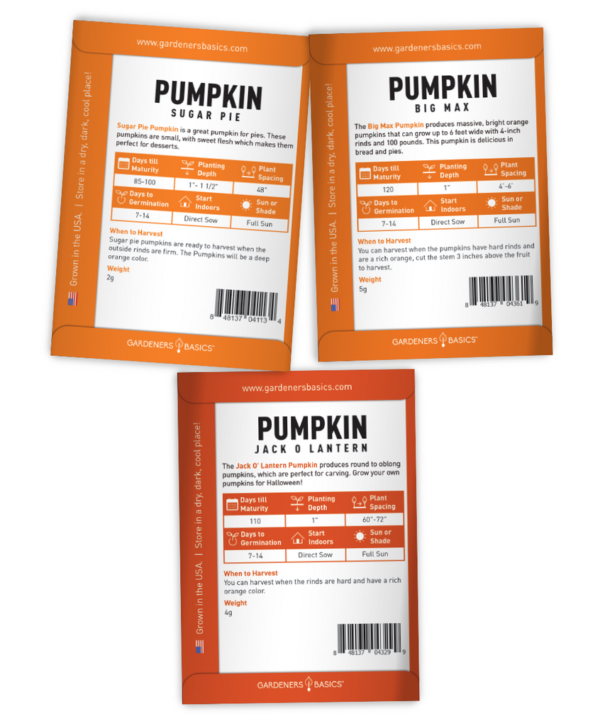 Summer Fall Pumpkin Seed Assortment 5 Varieties